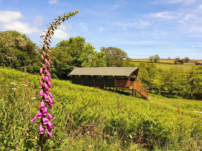 Brackenhill Glamping - Safari Tent With Hot Tub - Sleeps 6 Ivybridge Exterior photo